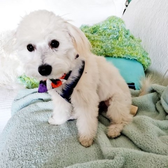 Meet your Posher, Terry - Picture 1 of 1